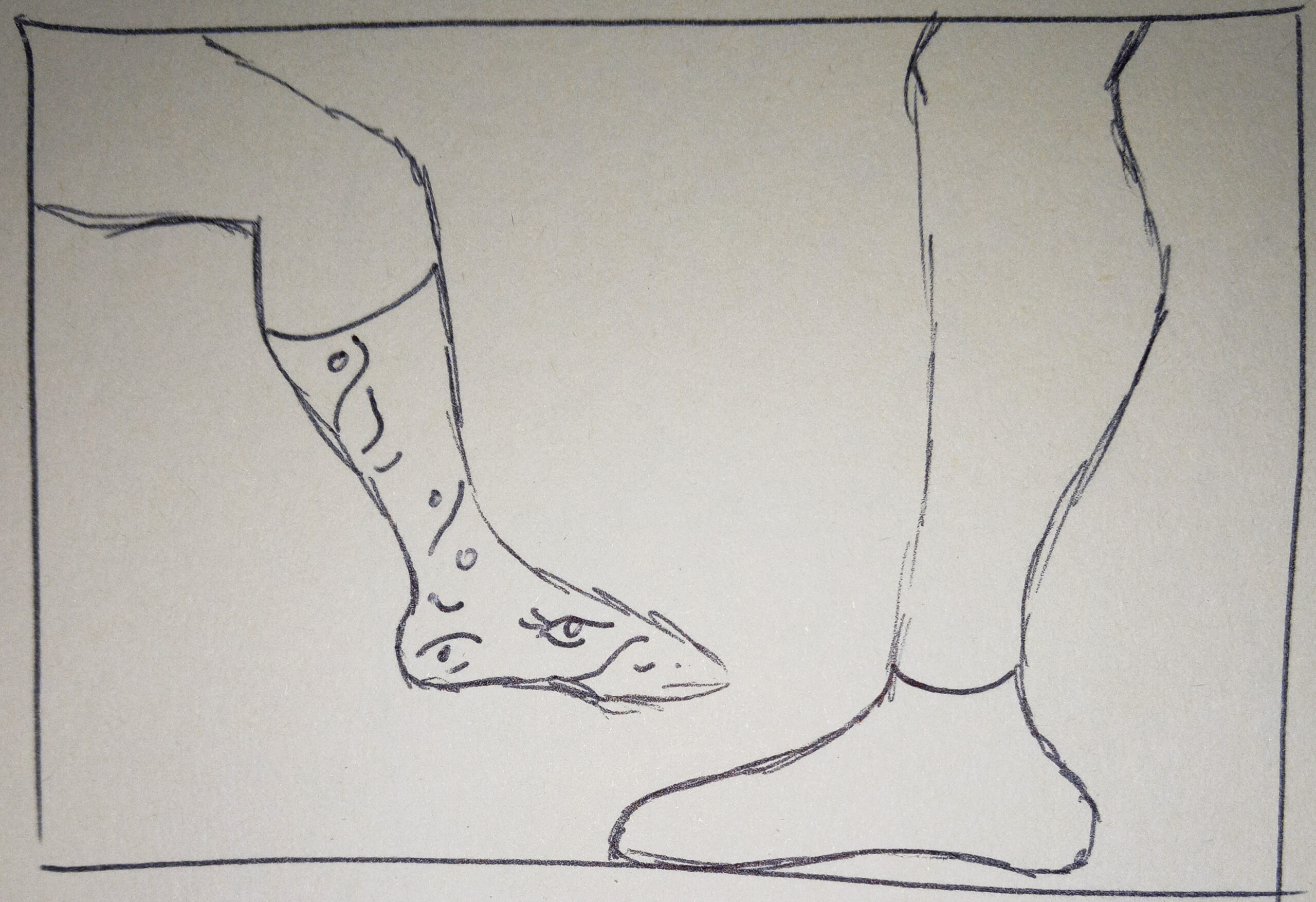 concept for socks