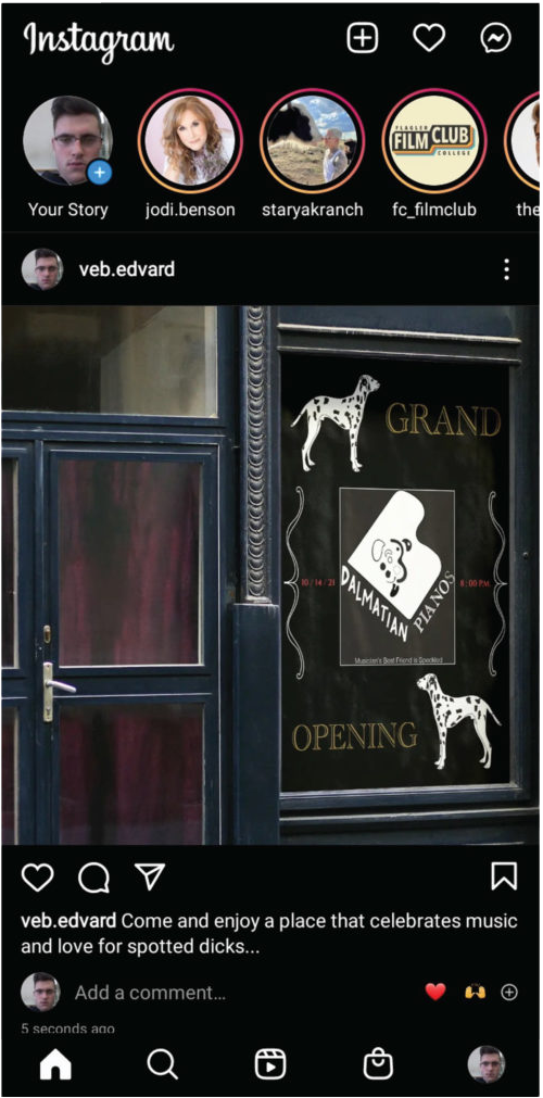 Dalmatian Pianos insta resize